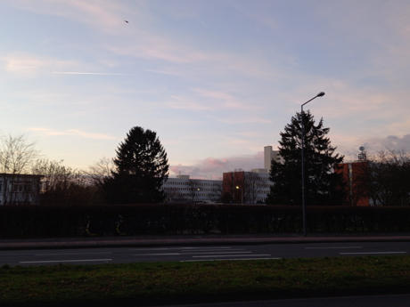 Koeln Raderthal